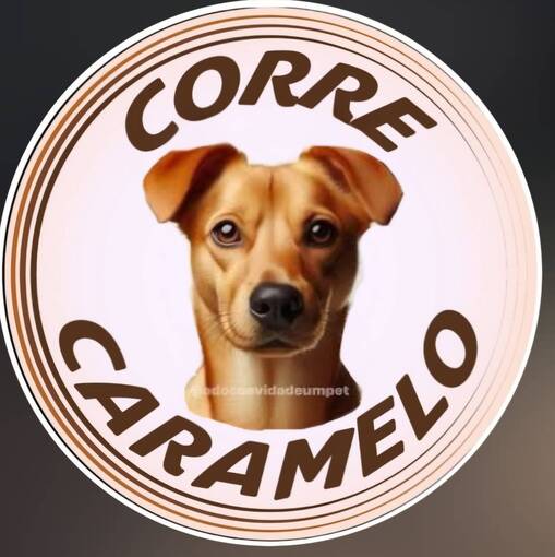 Event cover Meus Treinos  -  Corre Caramelo 