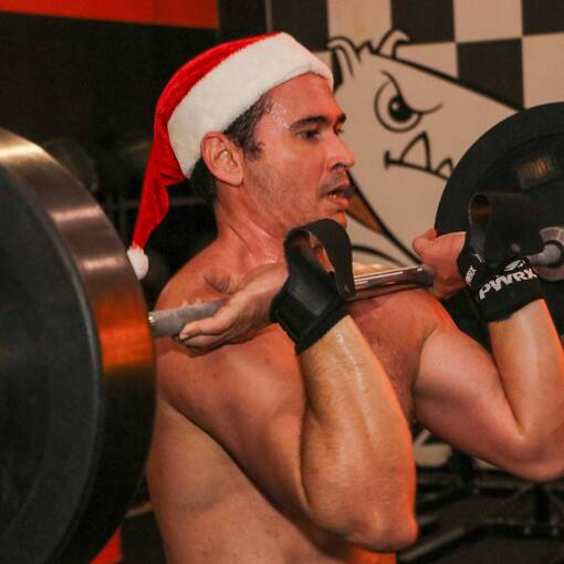 �RVORE DE NATAL CF BULL TERRIER - 2025  no Fotop