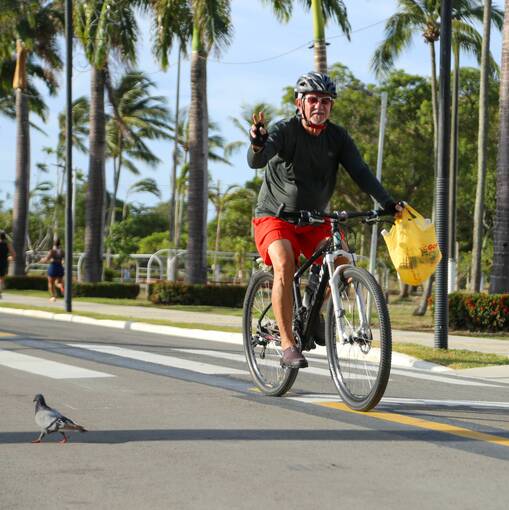 Event cover FOTOP no Parque da Sementeira - Manh�