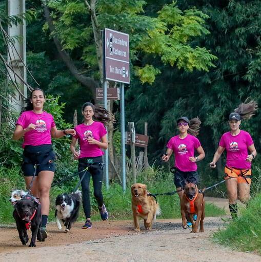 Couverture de l'�v�nement Treino de Canicross CaniJundiCity Caf� Sabor da Serra