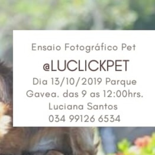 Event cover Ensaio Fotografico Pets - LuClickPets - Fotografia de Animais
