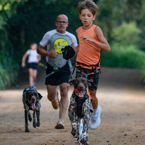 Event cover Treino de Canicross CaniJundiCity & RMC - Joaquim Eg�dio 