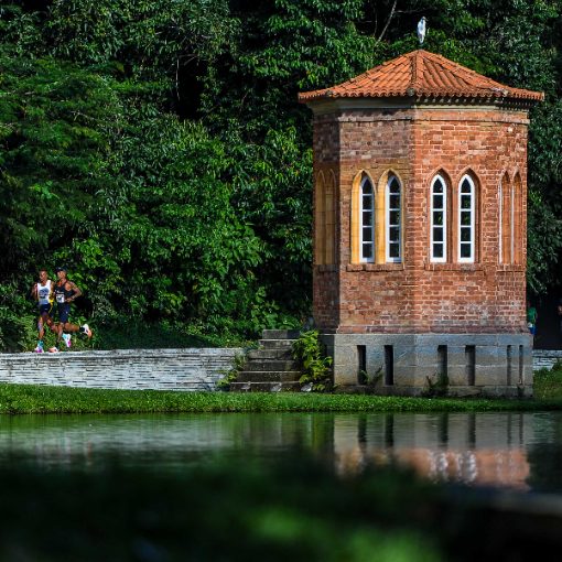 Event cover Tio Dongo Race - 2026