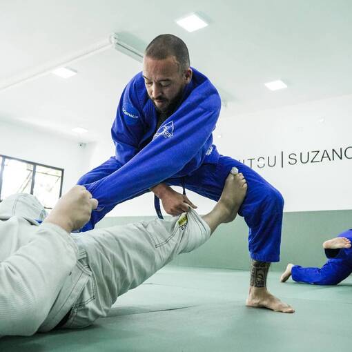 Copertura dell'evento TREINO ALLIANCE