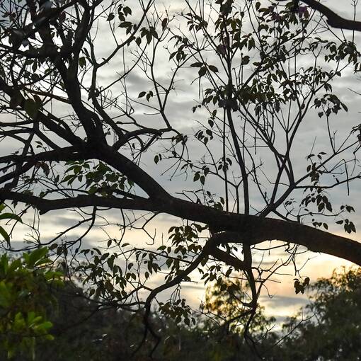 Event cover Dom Aguirre s�bado Sorocaba 