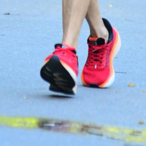 Event cover TREINO QUINTA DA BOA VISTA - 10/01/2026