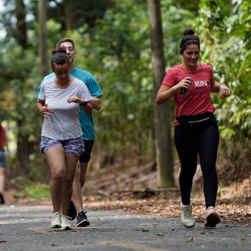 Event cover Treino Lageado 11/01