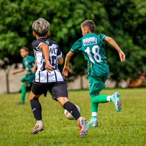 Event cover 2.WILSON GOIANO X PALMEIRAS - S11 - COPA INHUMAS