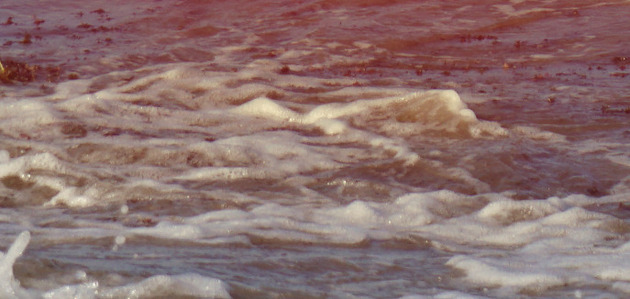 Event cover TREINO NA ORLA VP / TER�A TARDE 002