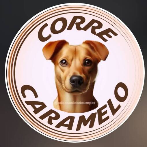 Copertura dell'evento Meus Treinos  -  Corre Caramelo 