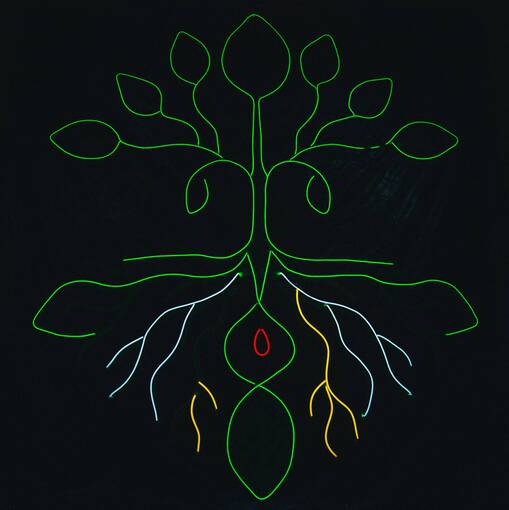 Event cover Floresta Cosmic Lua Cheia