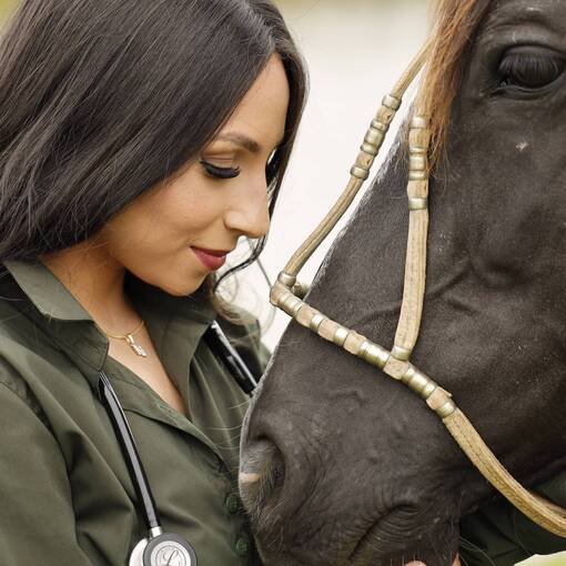 Capa do evento Sess�o Foto Convite Medicina Veterin�ria (Projeto 0027-2023) - LAGES