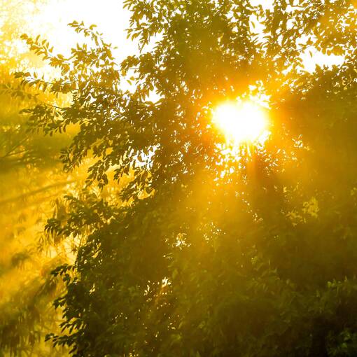 Event cover Avenida Dom Aguirre Domingo Sorocaba