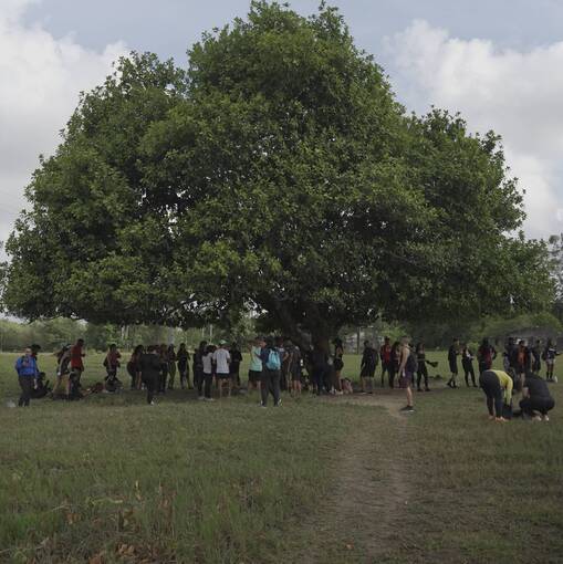 Event cover TRZN CAETES