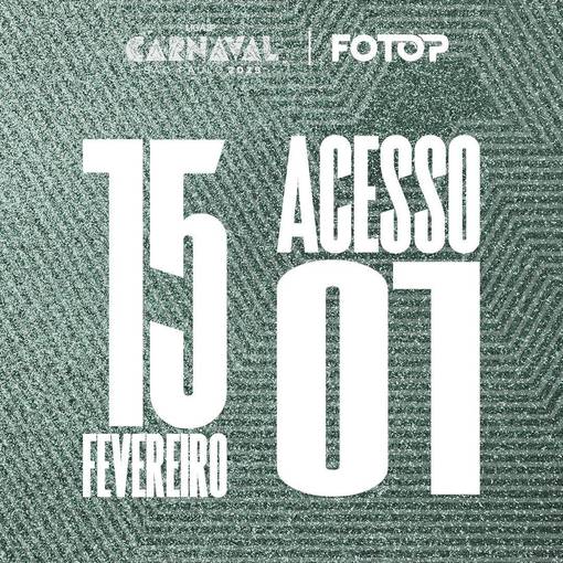 Acquista le foto dell'evento Carnaval de S�o Paulo - 15/02 - Acesso 1 in Fotop