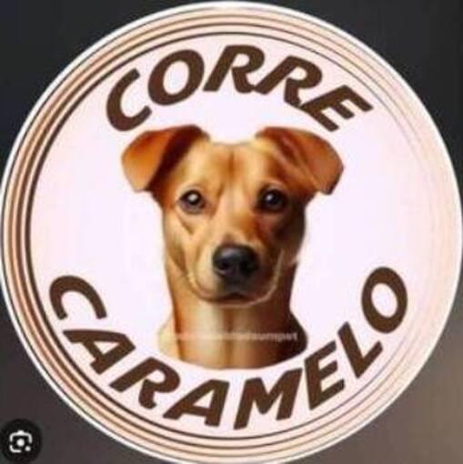 Copertura dell'evento Meus Treinos  -  Corre Caramelo 