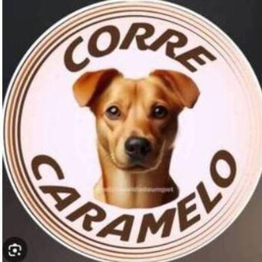 Copertura dell'evento Meus Treinos  -  Corre Caramelo 