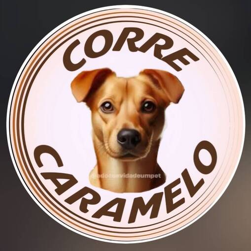 Copertura dell'evento Meus Treinos  -  Corre Caramelo 