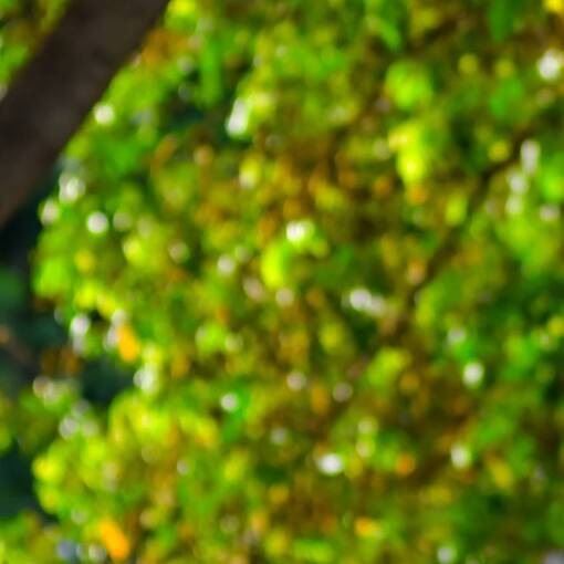 Portada del evento Pq Dom Quixote Ter�a Manh�