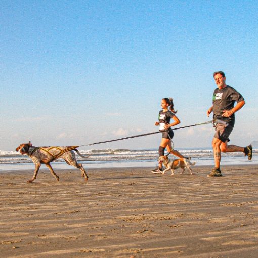 Event cover Treino de Canicross Intera��o e Conex�es 