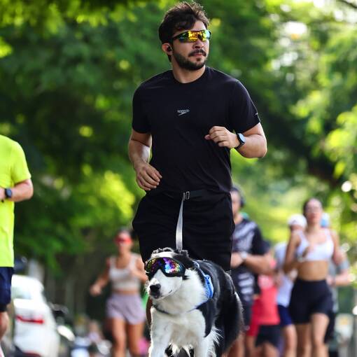 Portada del evento TREINO USP V�DEOS 24 01 @reyy_            