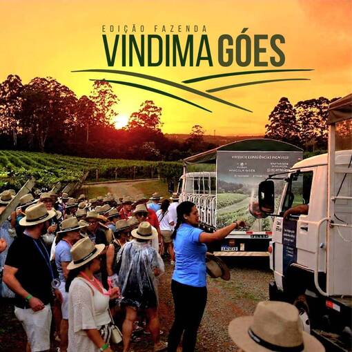 Capa do evento Vindima da Vinicola Goes