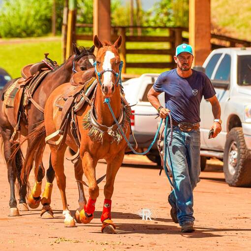 Event cover Padoque - NBHA