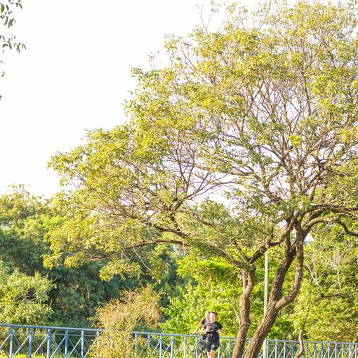 Portada del evento Avenida Dom Aguirre s�bado Sorocaba