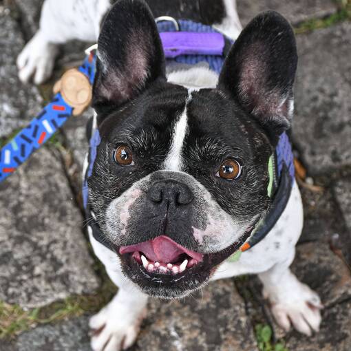 Event cover Nosso Corre Beco do Batman -  Lets Hop Running Crew - Primeiro corre do ano - 24.01.26