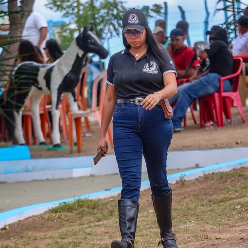 Capa do evento CAVALGADA PISADA FORTE