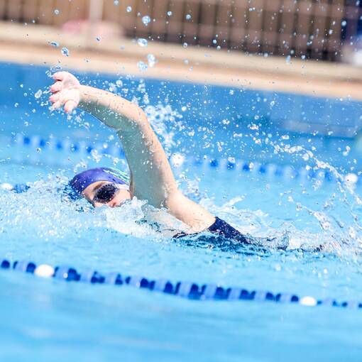 Couverture de l'�v�nement Nata��o Sesc 