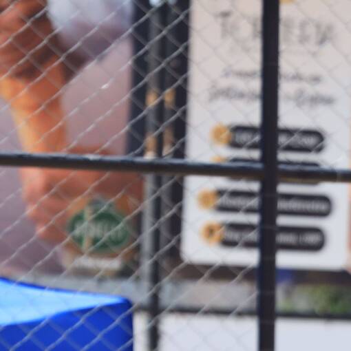 Event cover Carnabeer Beach Tennis 