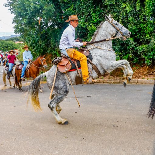 Event cover 3 CAVALGADA SERRA DO MAMONO