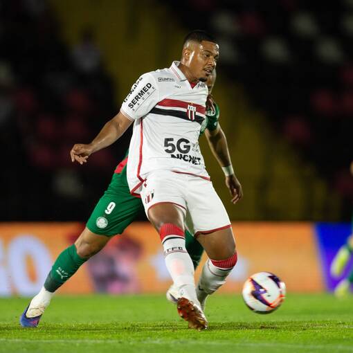 Event cover Botafogo x Palmeiras - Paulist�o 