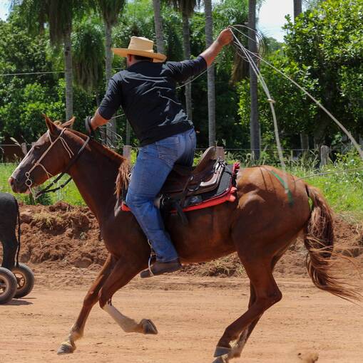 Event cover PROVA DE LA�O BAR�O DE MELGA�O 