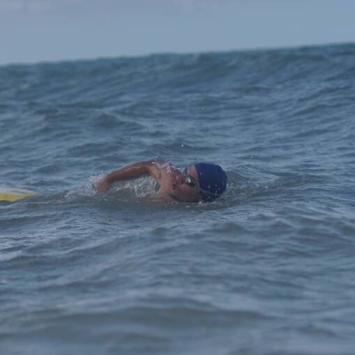 Capa do evento TREINO ORLA VP TARDE - TER�A 030226