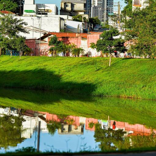 Event cover Pq Dom Quixote Quinta manh�