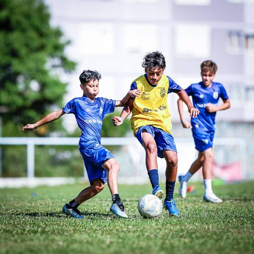 Portada del evento Treino do Crias da Montanha 