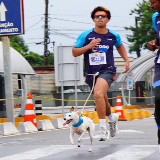 Event cover 11� SP Dog Run