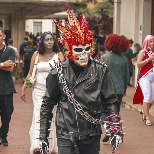 Copertura dell'evento Festival Anime Para Araras Regi�o - FAPAR 2026