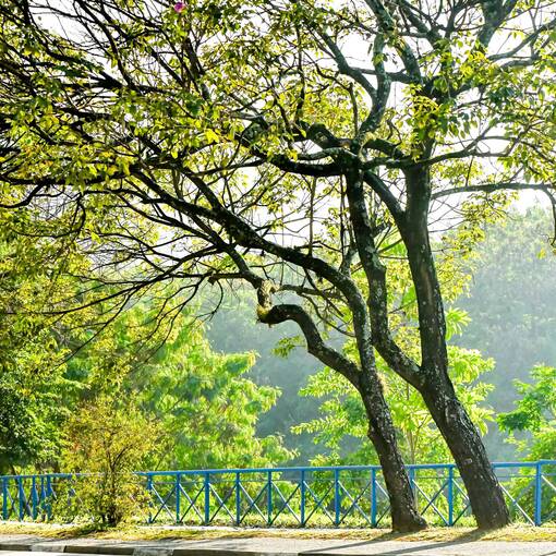 Event cover Av Dom Aguirre S�bado Sorocaba