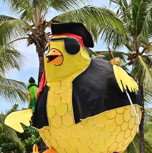 Copertura dell'evento PINTO DA MADRUGADA 2026