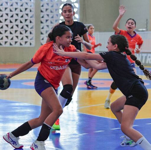 Capa do evento Phoenix x CEBASE- Amistoso Handebol