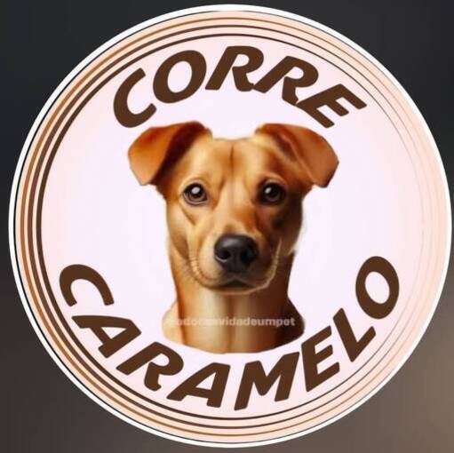 Copertura dell'evento Meus Treinos  -  Corre Caramelo  