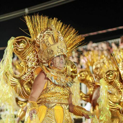 Couverture de l'�v�nement Desfiles Escolas de Sambas Jacare� Sp 