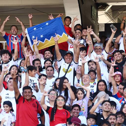 Copertura dell'evento NOCHE ALBA SOLIDARIA ALBUM 2