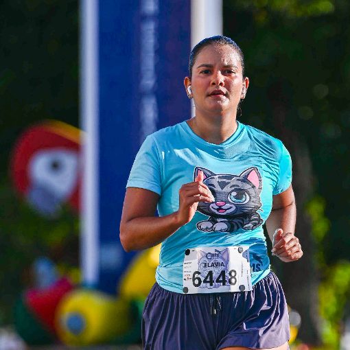Event cover CATS RUN SE 2026