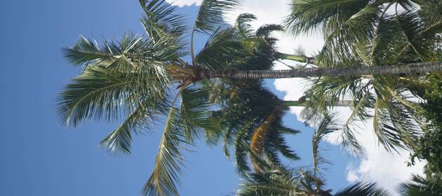 Event cover Praia da Feiticeira - Ilha bela 