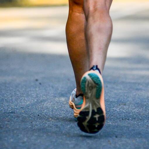 Capa do evento TREINO QUINTA DA BOA VISTA - 14/02/2026