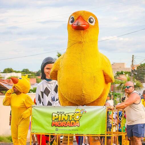 Event cover Pinto da Morada